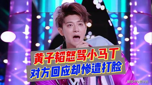 黄子韬卫生巾项目，总投资超两亿的商业新篇章