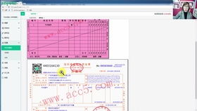会计专业的电子商务书