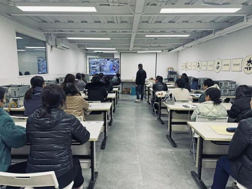 宝山区专业电子商务公司