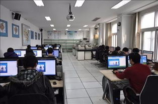 经济类电子商务专业就业